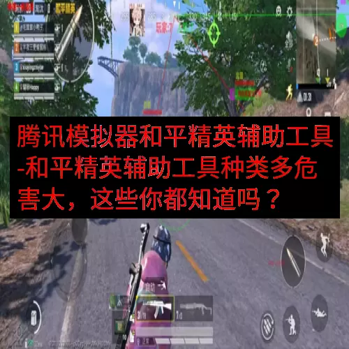 腾讯模拟器和平精英辅助工具-和平精英辅助工具种类多危害大，这
