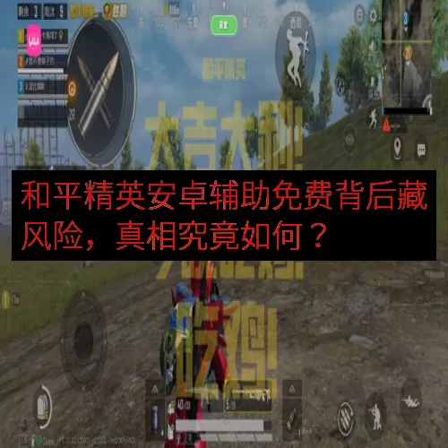 和平精英安卓辅助免费背后藏风险，真相究竟如何？